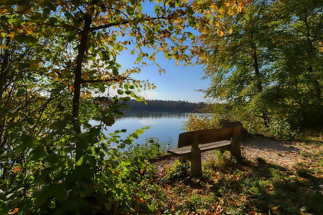 太阳报：奥利塞帮助埃泽适应枪手新生活，二人经常会在线下棋